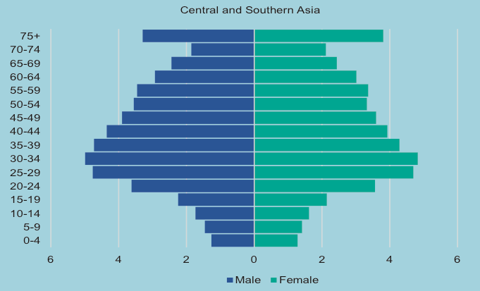 Age and sex distribution of international migrants 2019 Central Southern Asia