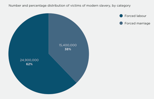 Number and percentage distribution of victims of modern slavery by category